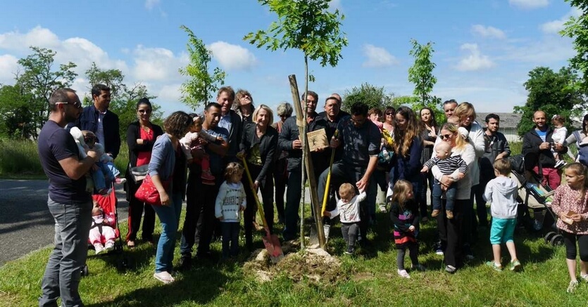 Dernières actualités - Opération « une naissance, un arbre » du samedi 25 mai 2019