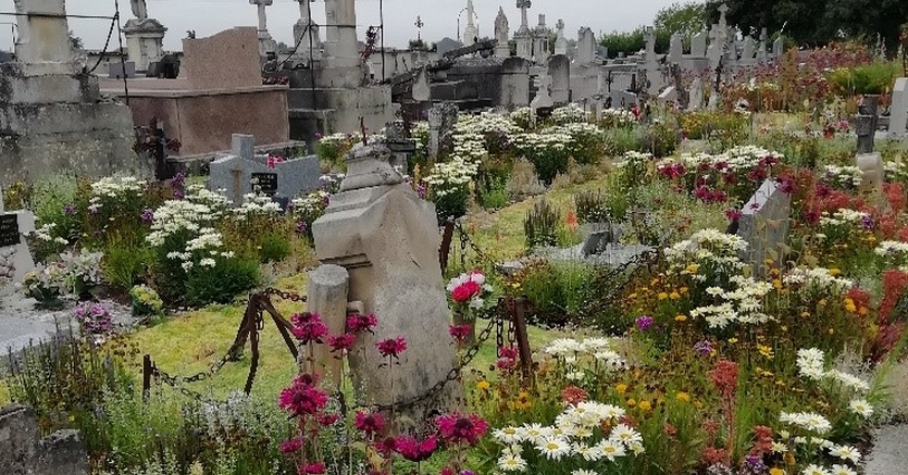 Dernières actualités - Nos cimetières sont des jardins