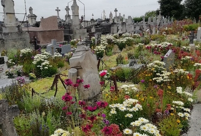Dernières actualités - Nos cimetières sont des jardins