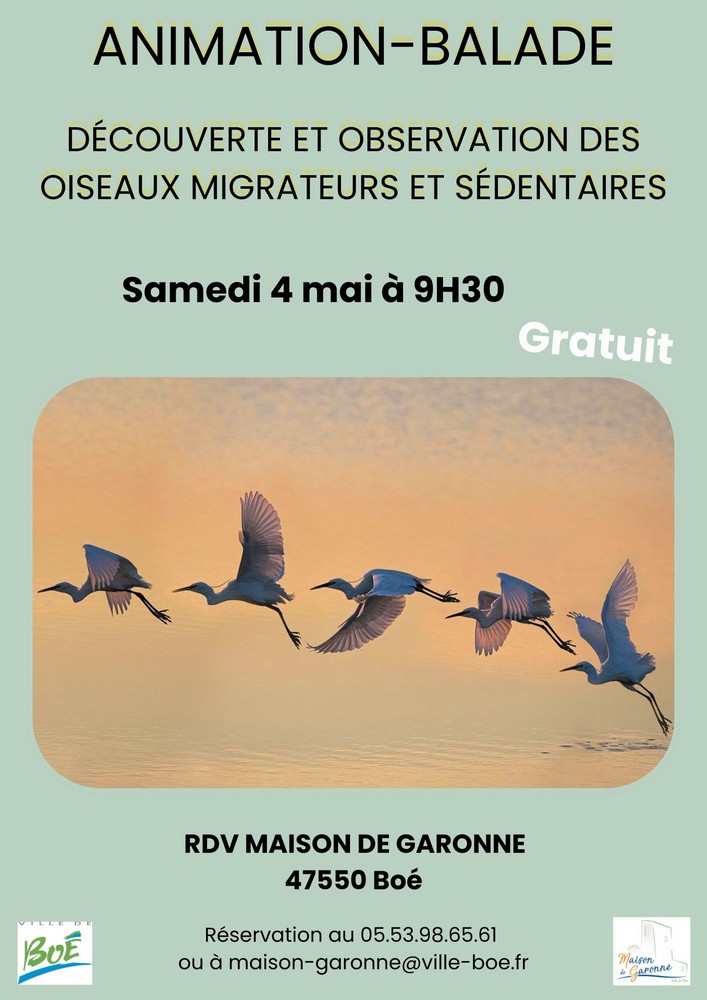 Agenda - Balade nature sur l’observation des oiseaux migrateurs et sédentaires 